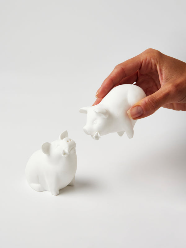 SIZZLE AND SPICE SHAKERS